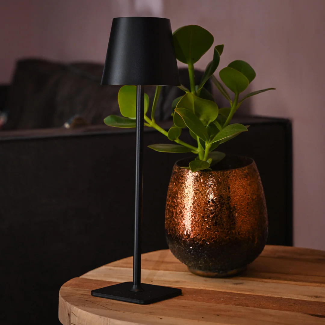 Image du produit 13