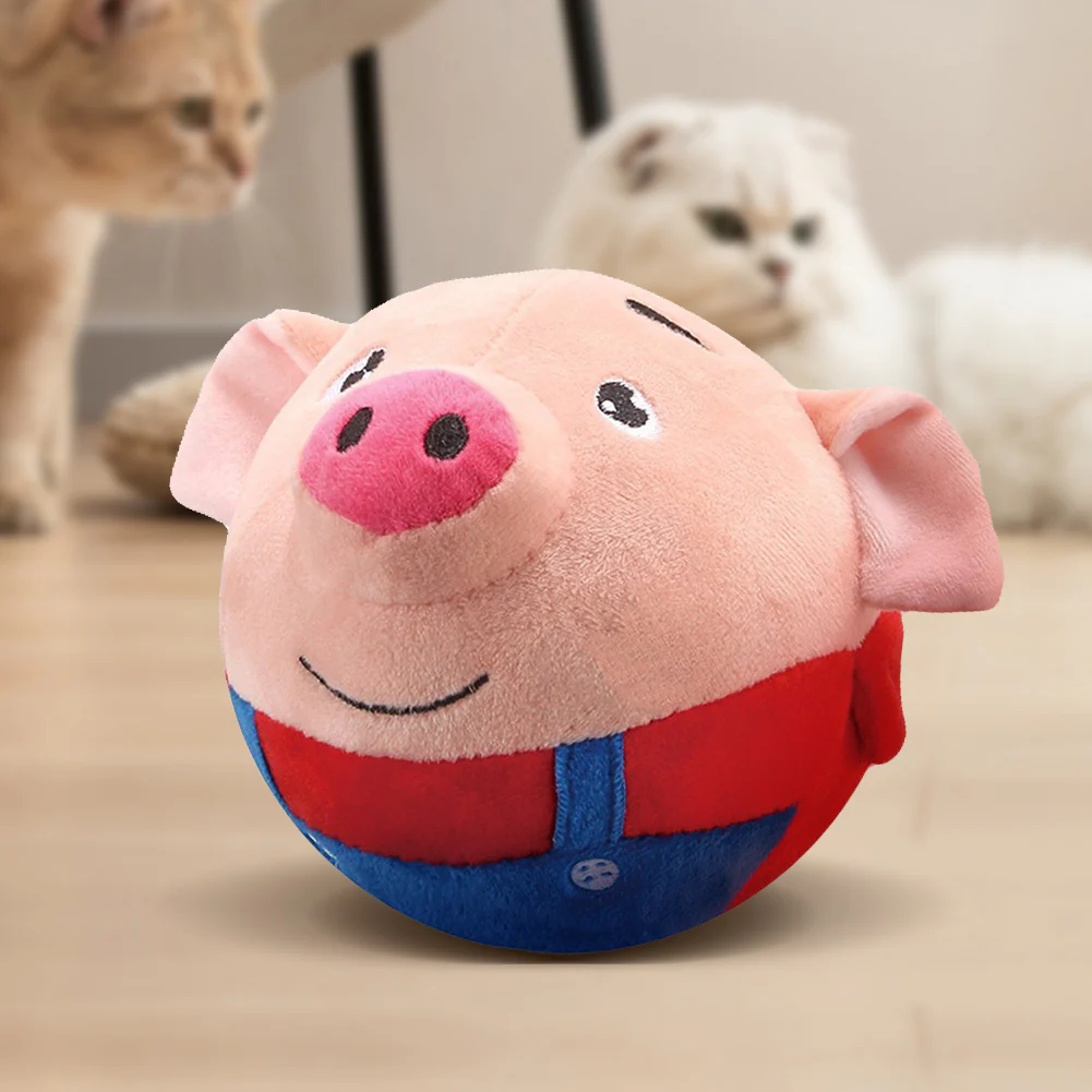 Image du produit 5
